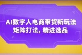 AI数字人电商带货新玩法，矩阵打法，精进选品