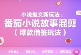 小说推文新玩法，番茄小说故事混剪（爆款借鉴玩法）