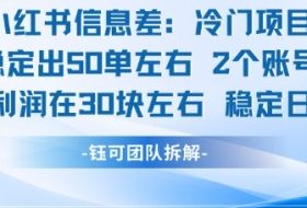 小红书信息差冷门项目一单利润30块每天稳定1.5k左右2个账号操作