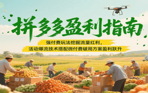 拼多多盈利指南：强付费玩法挖掘流量红利，活动爆流技术搭配微付费方案实现盈利跃升