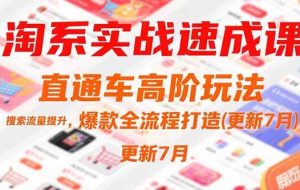 （15374期）淘系实战速成课，直通车高阶玩法，搜索流量提升，爆款全流程打造(更新7月)