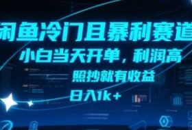 闲鱼冷门且暴利赛道，小白当天开单，利润高，照抄就有收益，日入1k+【揭秘】