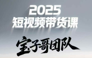 宝子哥头部团队短视频带货（更新7月）