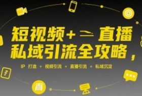 短视频+直播私域引流全攻略，IP打造 +视频引流 +直播引流 +私域沉淀