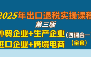 崔sir·出口退税实操-外贸企业+生产企业+跨境电商+进口企业（四课合一）