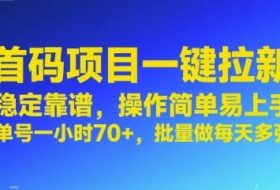 首码项目一键拉新，稳定靠谱，操作简单易上手，单号一小时70+，批量做每天多张【揭秘】