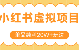 小红书虚拟电商新玩法，实现单品纯利20W+，可矩阵放大操作！