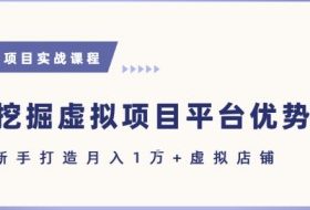 抓住虚拟项目各平台优势，新手轻松月入1W+(给出具体建议)