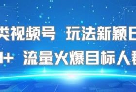 名著类视频号 玩法新颖日收益500+ 流量火爆目标人群广