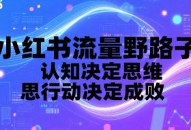 小红书流量野路子，认知决定思维，思维决定行动，行动决定成败