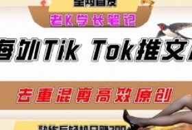 海外tiktok小说推文暴力项目，高停留率，高转化率，上手后一天搞顿饭钱不是问题