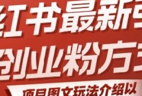 小红书最新引流创业粉方式，项目图文玩法介绍以及如何安全倒流私域
