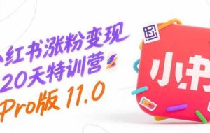 （15432期）小红书涨粉变现120天特训营Pro版11.0：从0到1掌握平台运营,内容制作和变现