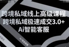 跨境私域线上高级课程，跨境私域极速成交3.0+Ai智能客服