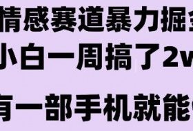 情感暴力掘金项目，新人操作一周挣了2W，长期稳定小白可做【揭秘】
