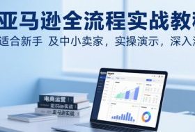 亚马逊全流程实战教程，适合新手及中小卖家，实操演示，深入浅出