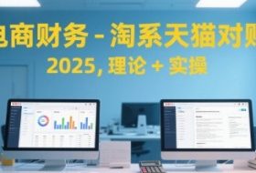 电商财务-淘系天猫对账2025，理论+实操