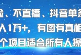 不露脸、不直播、抖音单条视频日入1W+，有图有真相！这个项目适合所有人操作