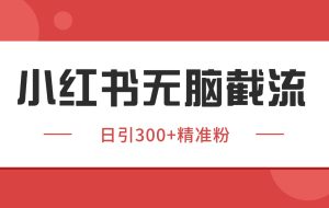 小红书截流同行客源，独家野路子获客玩法 日引200+暴力获客