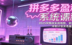 拼多多盈利系统课程：2025突围战实战地图、全新玩法、冲刺计划及各板块技巧