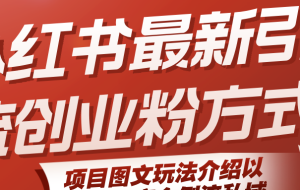 小红书最新引流创业粉方式，项目图文玩法介绍以及如何安全倒流私域