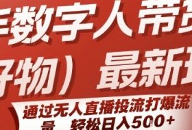 快手数字人带货(好物)最新玩法，通过无人直播投流打爆流量，轻松日入5张