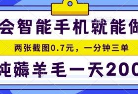 2025年零撸手机项目，二十秒一单，纯薅羊毛，一天200+做就有【揭秘】