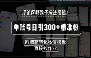 （15466期）评论区野路子玩法揭秘！单账号日引300+精准粉，附赠高转化私信模板，直…