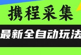 携程信息采集全自动玩法，0风控，无脑开干【揭秘】