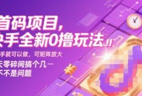首码项目，快手全新0撸玩法，有快手就可以做，可矩阵放大，每天零碎时间搞个几张不是问题【揭秘】