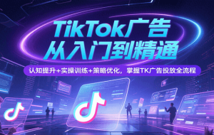TikTok广告从入门到精通，认知提升+实操训练+策略优化，掌握TK广告投放全流程