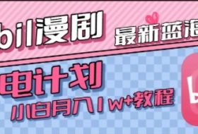 最新蓝海项目，B站充电计划，小白也能月入1w+