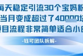 每天稳定引流30个人 当月变成超过了4个W项目流程非常简单适合小白