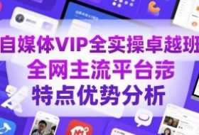 自媒体VIP全实操卓越班，全网主流平台特点优势分析