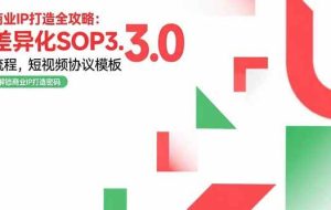 （15486期）商业IP打造全攻略：差异化SOP3.0流程，短视频协议模板，婚恋项目实战案例
