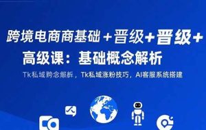 （15496期）跨境电商基础+晋级+高级课：基础概念解析,Tk私域涨粉技巧,AI客服系统搭建