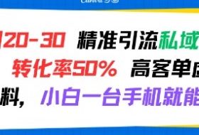 日引 20-30 精准引流私域新玩法，转化率50% 高客单虚拟资料，小白一台手机就能做
