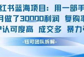 小红书蓝海项目，一部手机单月做了3W利润，小白也能月入过1W用户认可度高成交多