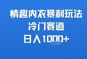 情趣内衣暴利玩法，冷门赛道，日入1k+