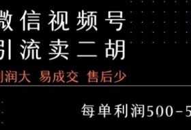 视频号卖二胡教程，利润大 易成交 售后少，一单利润5张+