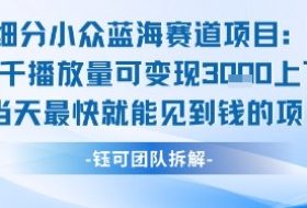 小众蓝海赛道项目：当天变现1k+适合新手操作 +适合长期玩