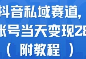 蓝海抖音私域赛道，实操单账号当天变现288+(附教程)