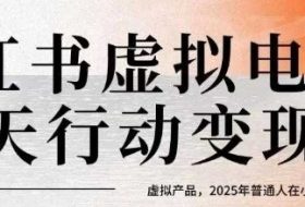 小红书虚拟电商14天变现训练营，虚拟产品，2025年普通人在小红书最后的搞钱机会