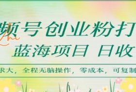 视频号创业粉打法，日入1k，蓝海项目，市场需求大，全程无脑操作，可复制