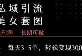 私域卖套图每天3-5单   每单利润99-2张+