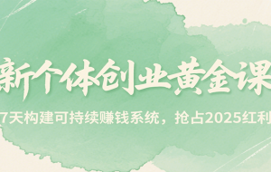 新个体创业黄金课，7天构建可持续赚钱系统，抢占2025红利
