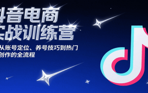 抖音电商实战训练营，涵盖从账号定位、养号技巧到热门内容创作的全流程