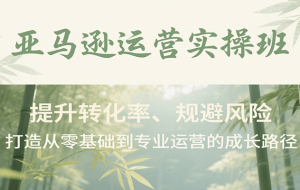 亚马逊运营实操班，提升转化率、规避风险，打造从零基础到专业运营的成长路径