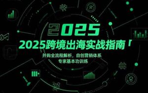 （15503期）2025跨境出海实战指南，并购全流程解析，自创营销体系，专家基本功训练