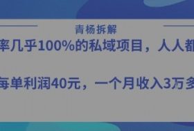 转化率最高的私域项目，每单利润40-50米，月入过1w
